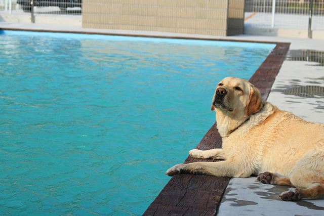 ホームリゾートガーデン